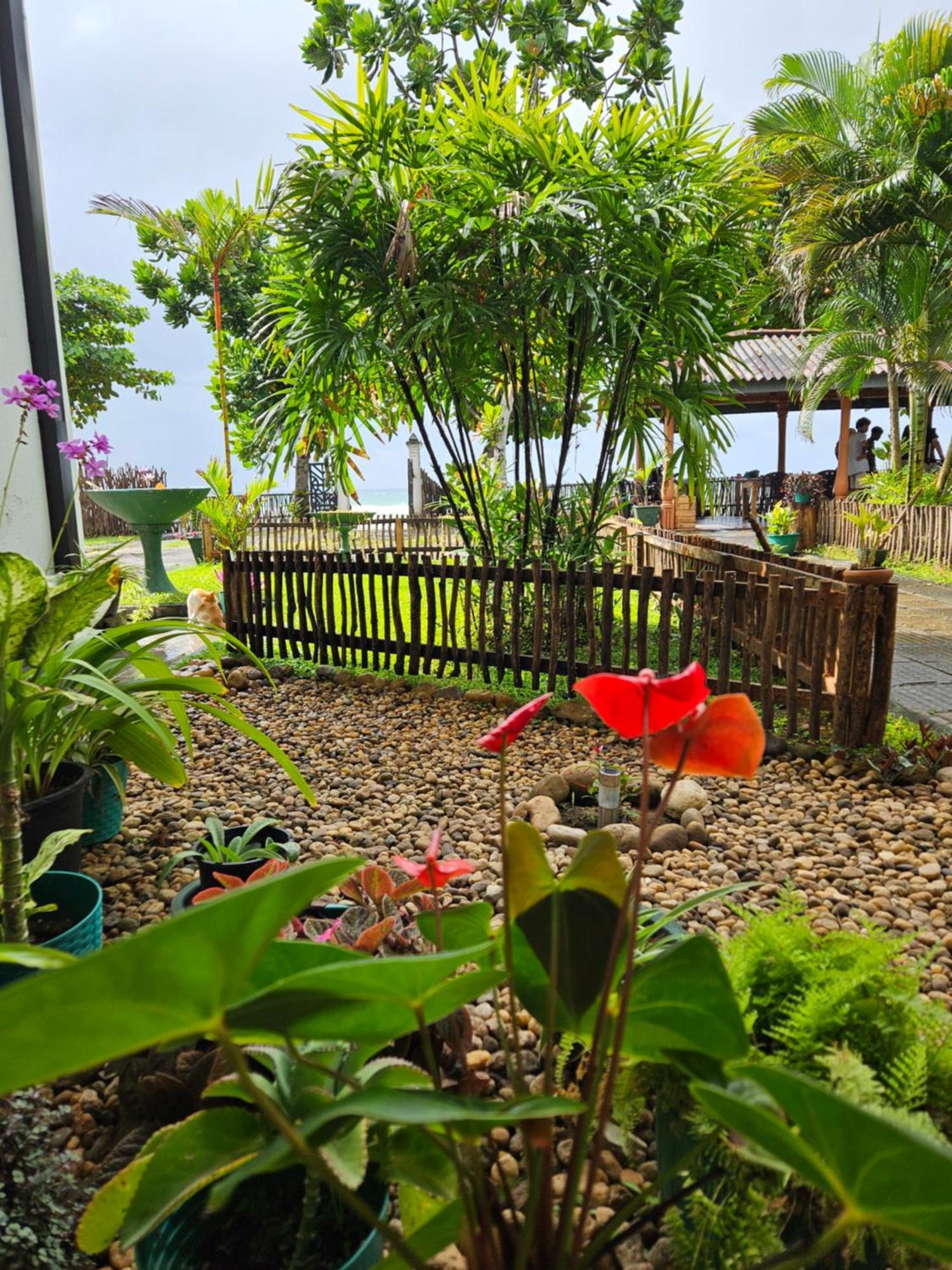Balance Beach Resort Zuid-Dikwella Buitenkant foto