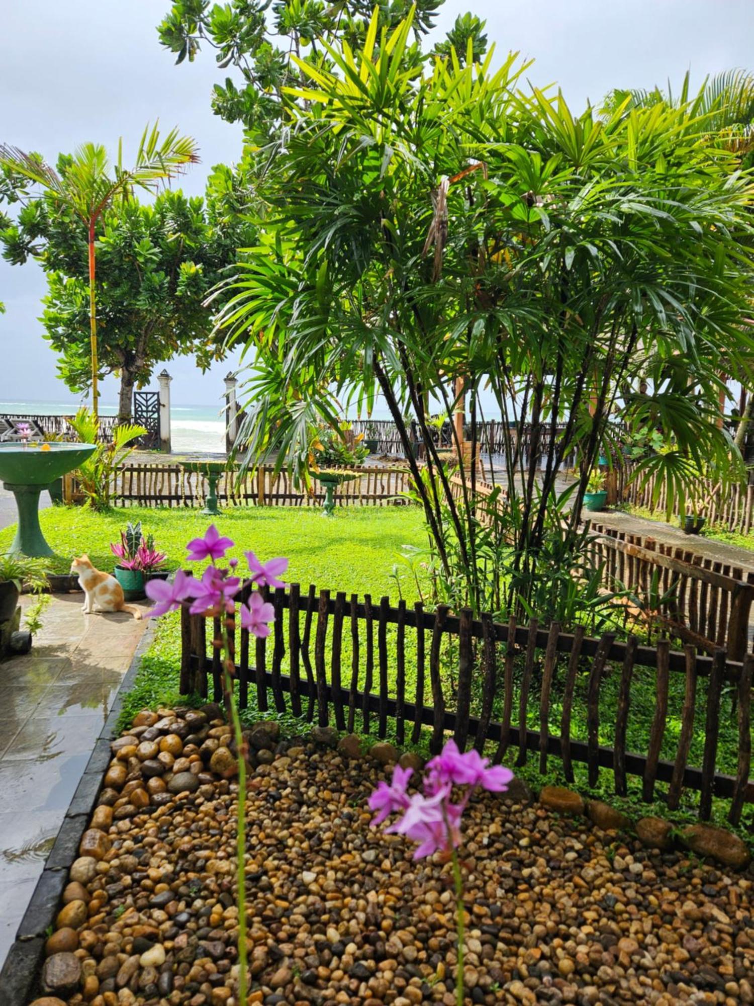 Balance Beach Resort Zuid-Dikwella Buitenkant foto