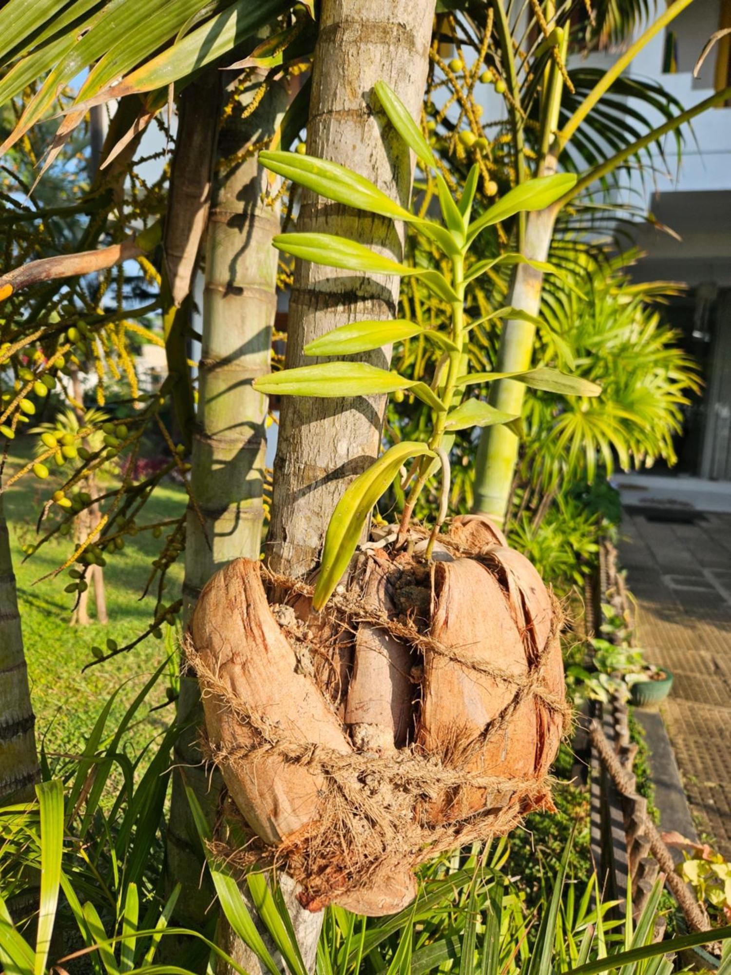 Balance Beach Resort Zuid-Dikwella Buitenkant foto