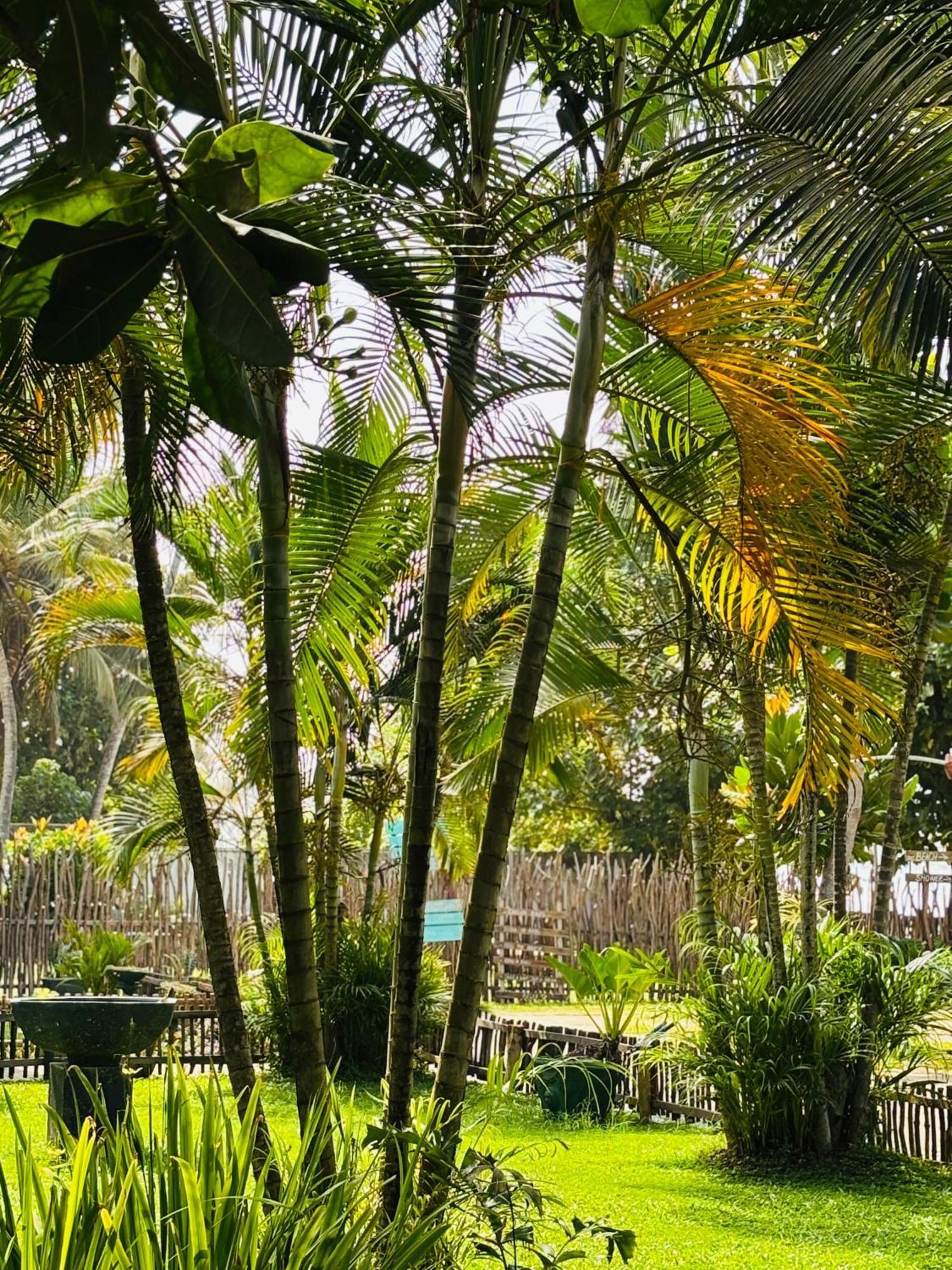 Balance Beach Resort Zuid-Dikwella Buitenkant foto