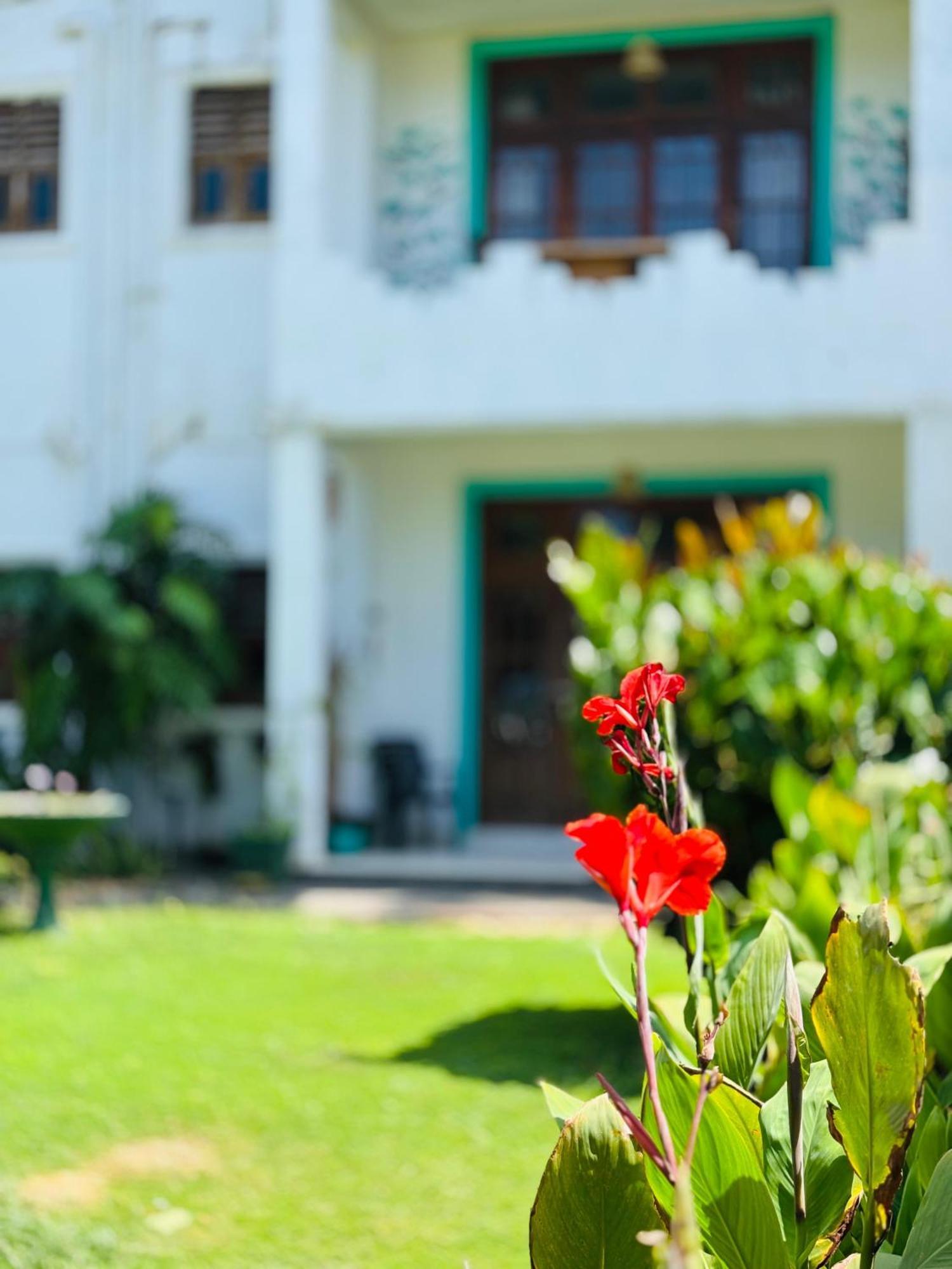 Balance Beach Resort Zuid-Dikwella Buitenkant foto